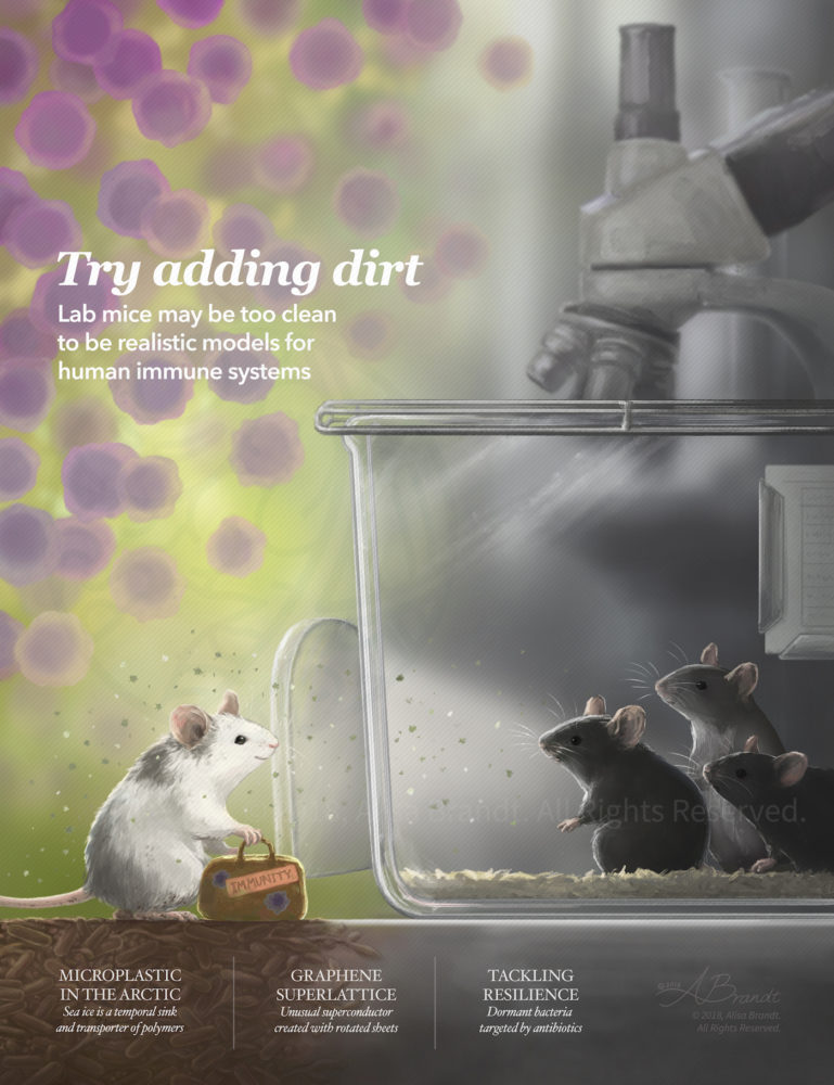 Portfolio: Medical & Biological Illustration – Alisa Brandt's Portfolio