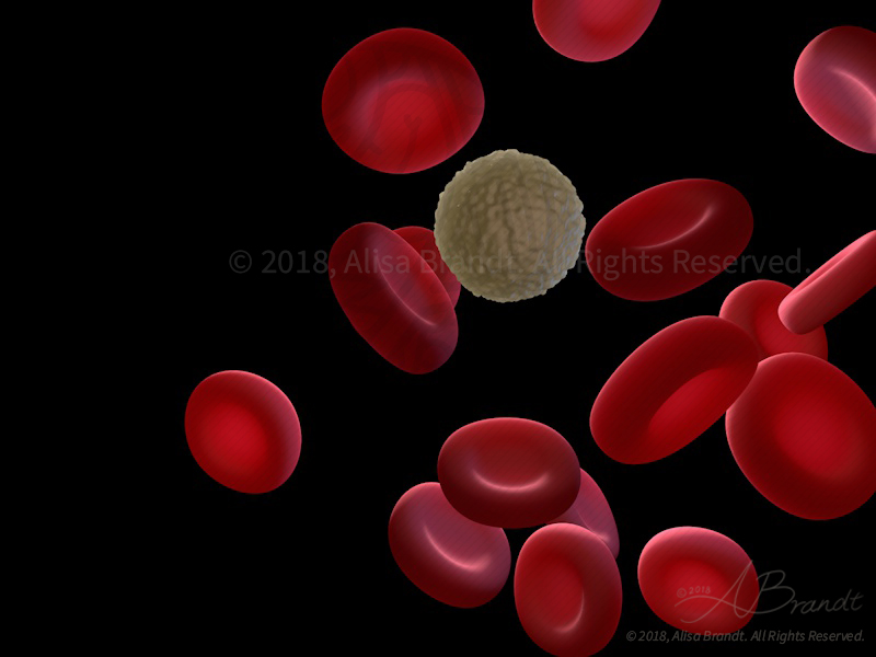 3D render of blood cells