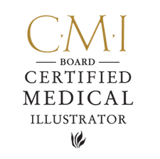 CMI logo